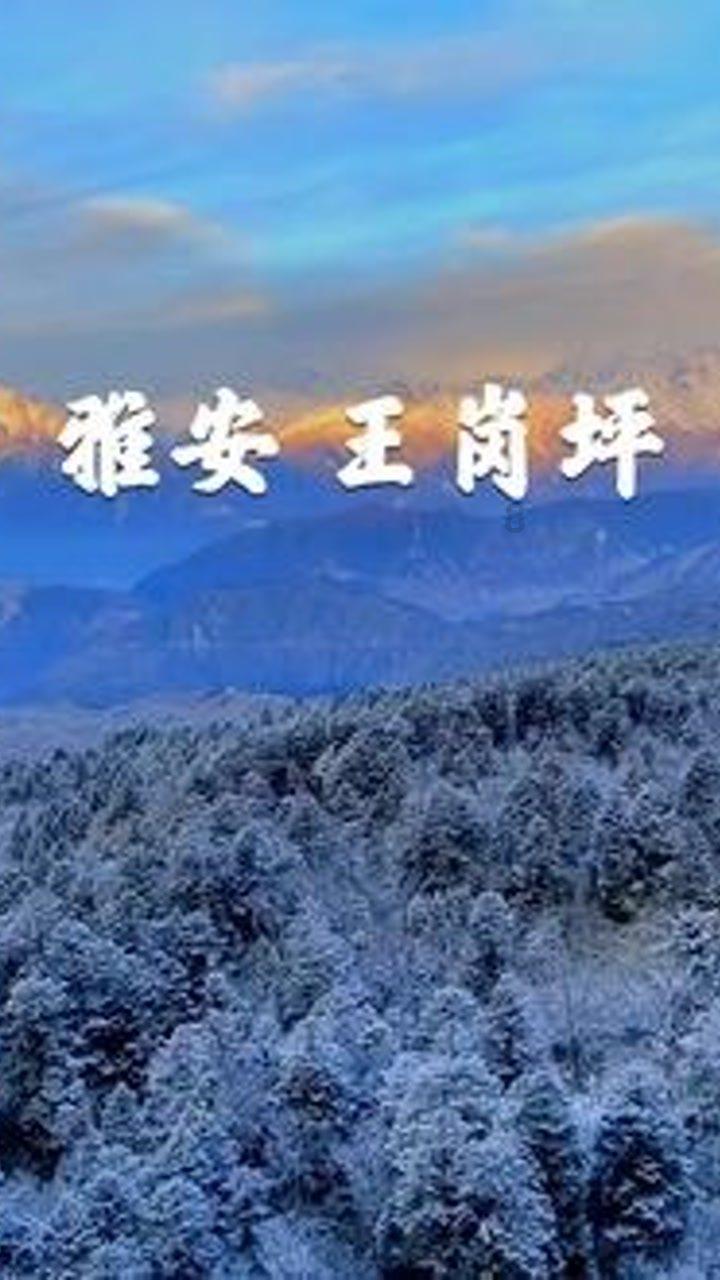 福味上榜“黑珍珠”　闽菜出圈正当时