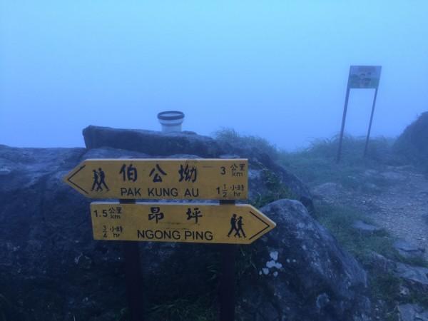 后天开始！支付宝“集五福”出新玩法，攻略速戳→