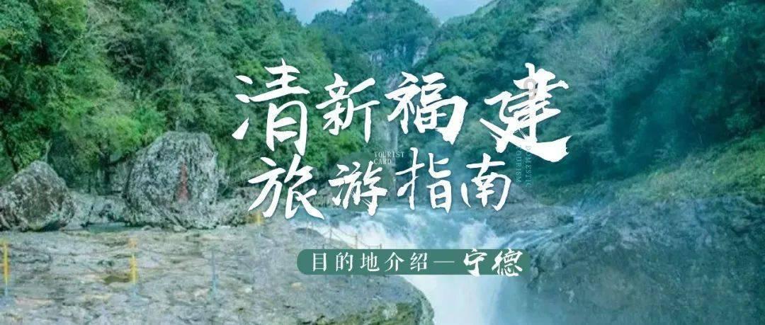 教培机构招生新攻略：线下地推与线上单招网校的完美结合|钉考单招