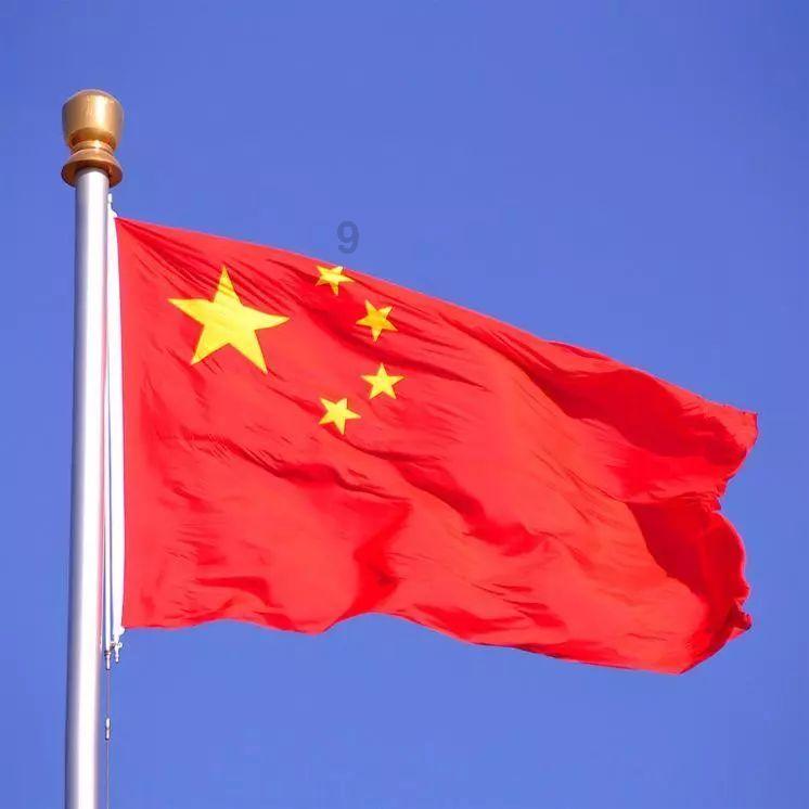 生化危机：浣熊市行动