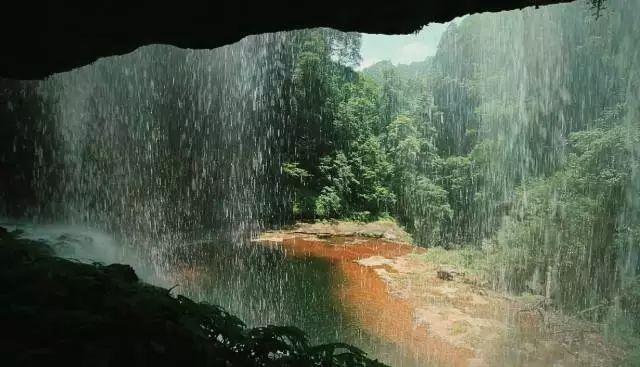 智力水滴