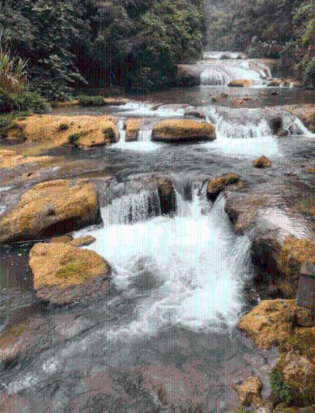 虫虫助手下载