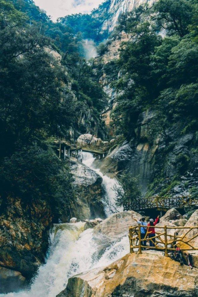 植物大战僵尸16