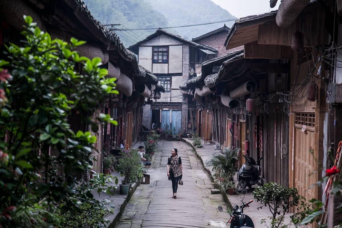 花的叶子发黄了是什么原因游戏画面